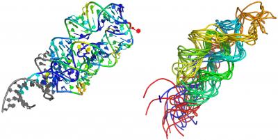 Structural Modeling of RNA