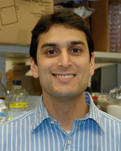 Zeshaan A. Rasheed, M.D., Ph.D., Johns Hopkins University School of Medicine