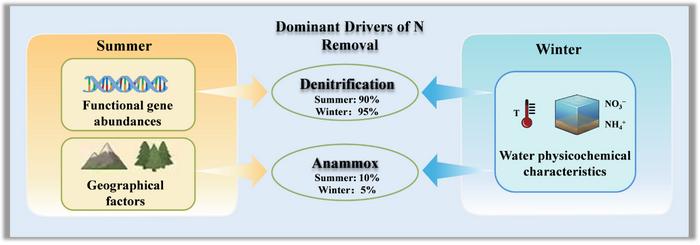 Geographical and micro-environmental factors regulate nitrogen removal in a forest-dominated river