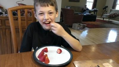 Strawberry Snack