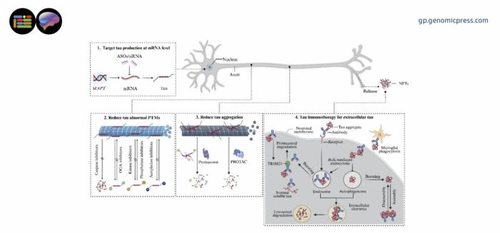 A mechanistic summary of anti-tau therapeutic strategies.