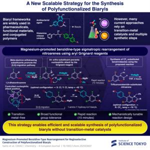 Proposed magnesium-promoted benzidine-type sigmatropic rearrangement of nitroarenes