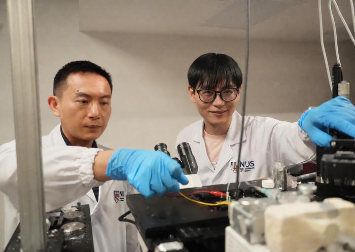 NUS CDE researchers map individual reactions to guide better catalyst design