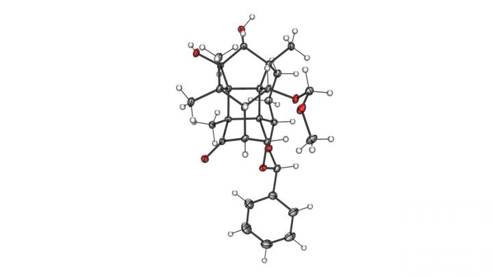 Complex molecule