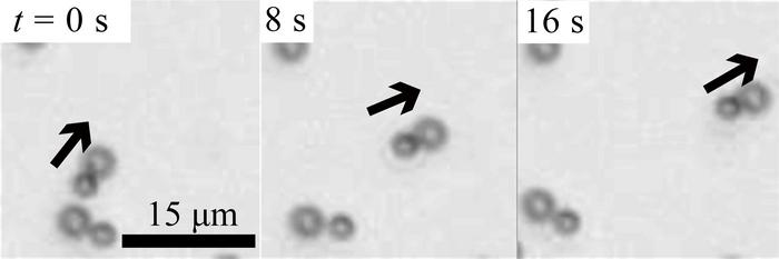 Nonreciprocal interactions between particles