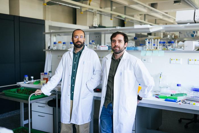 Suayb Üstün and Manuel González-Fuente