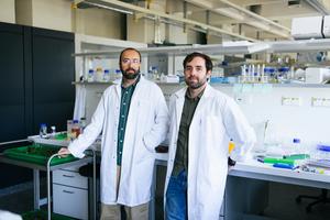 Suayb Üstün and Manuel González-Fuente
