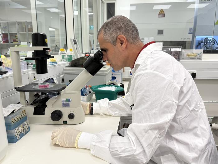 Prof. Tal Dvir