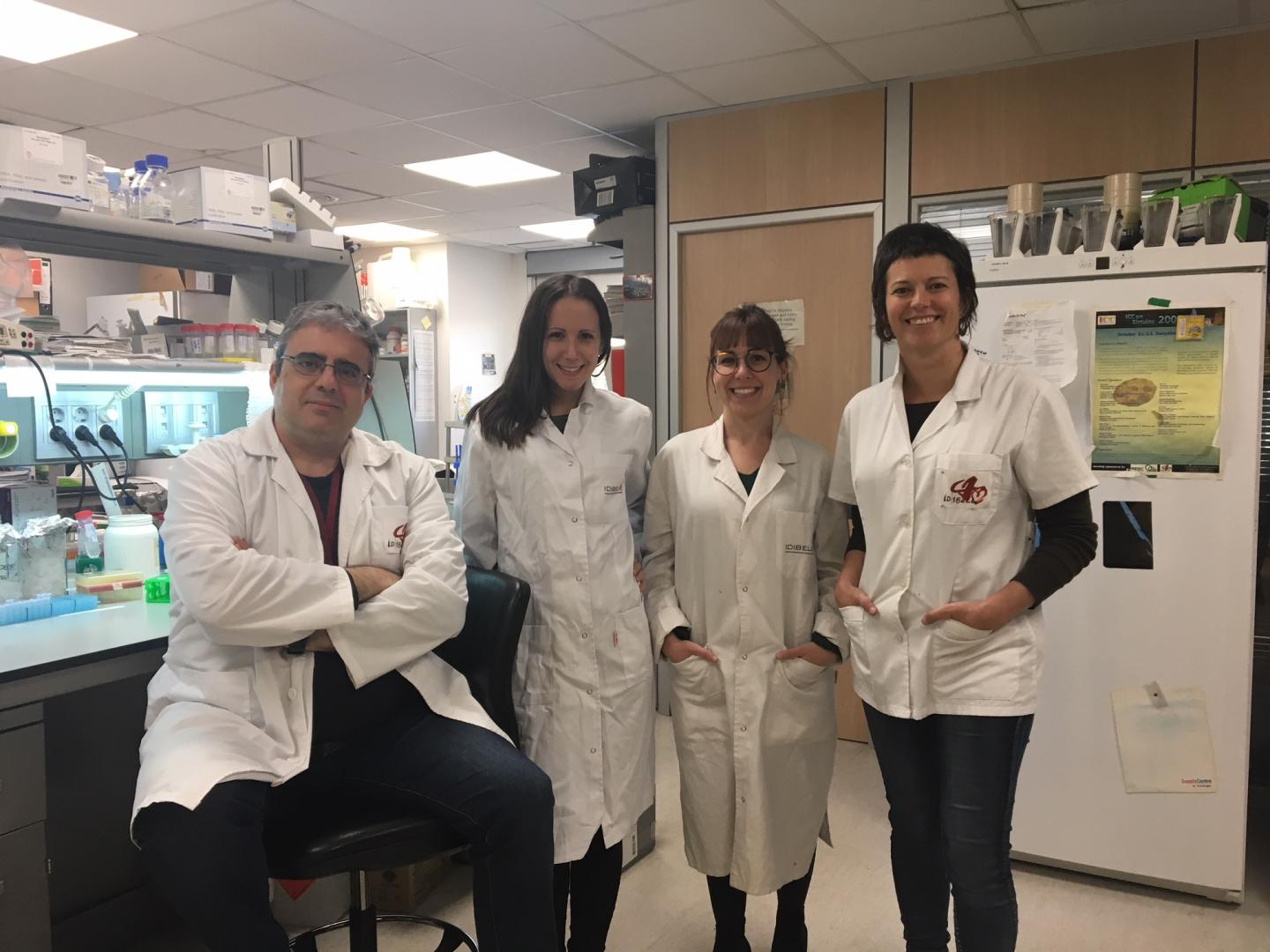 Research Team