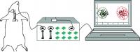 An 'Electronic Nose'