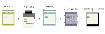 BiofunctionalPaperProcess