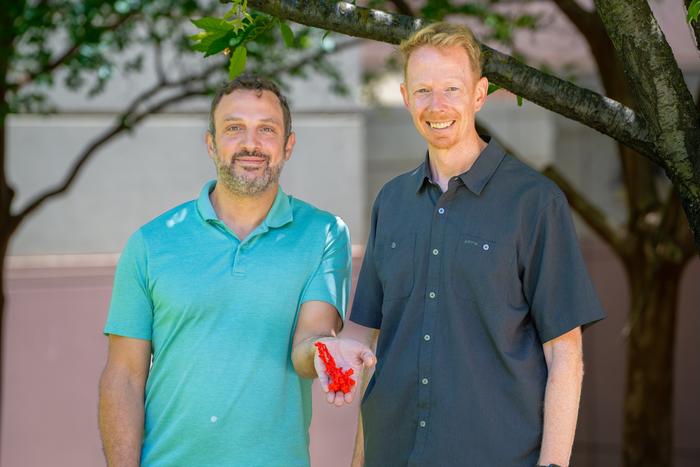 Al-Bassam and McKenney
