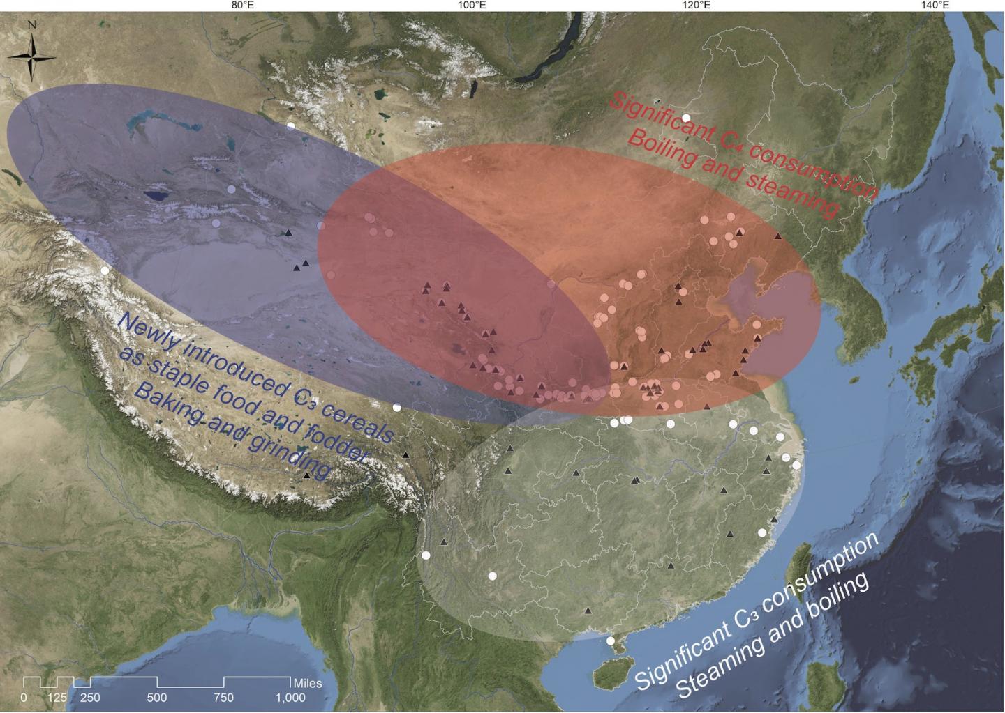 Site Locations