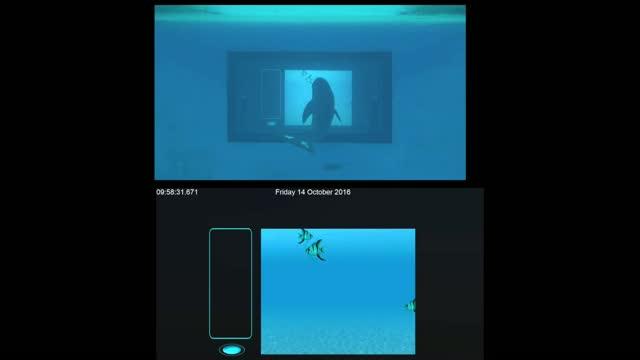 Dolphin Touchscreen (2 of 2)