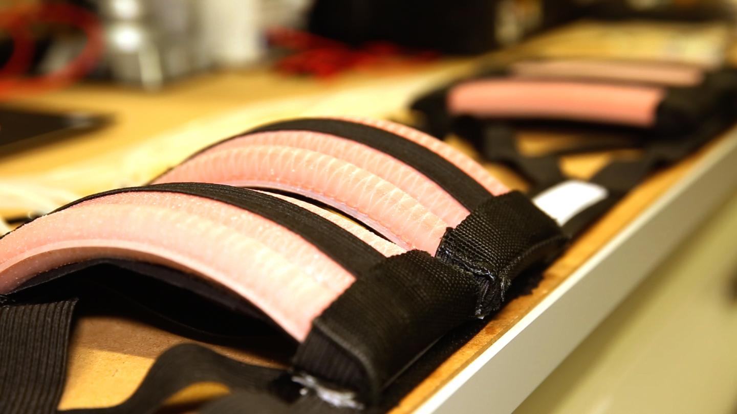 Belt for Rehabilitation
