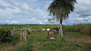 Land interventions and human wellbeing (2)