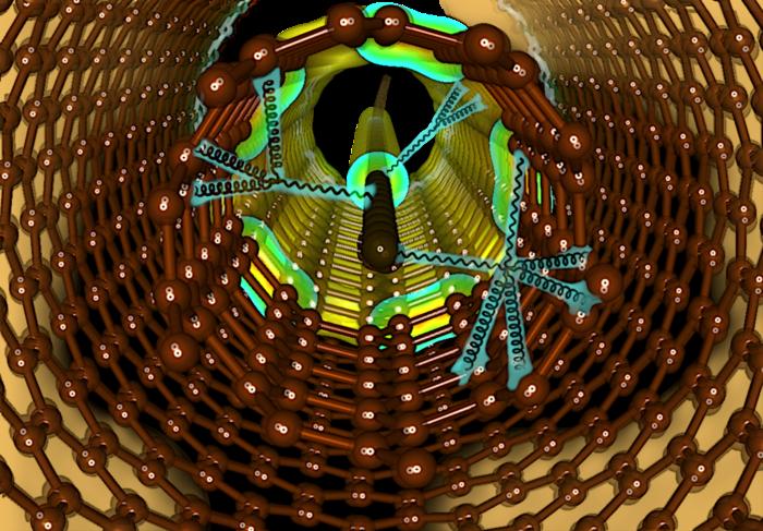 Schematic representation of carbyne stabilized inside small diameter double walled carbon nanotubes.