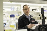 Phillip Newmark, Morgridge Institute for Research