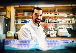 New research could lay the foundation for future immunotherapy strategies