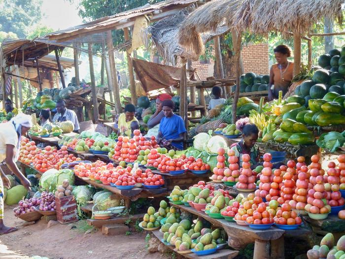 In sub-Saharan Africa, many people
