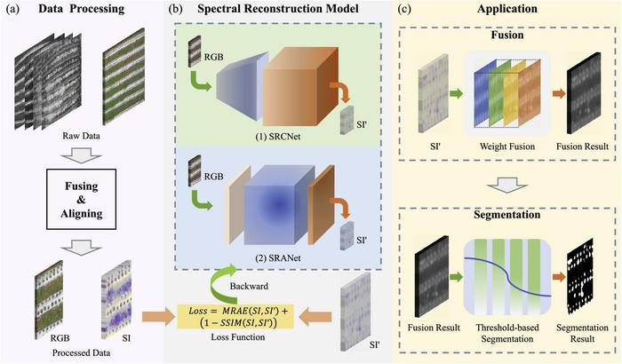 Figure 4. The main flowchart of our study, including the preprocessing of data, comparison between spectral reconstruction models, and application of the reconstructed data. SI′represents the reconstructed spectral image.