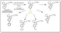Derivatives of Caramiphen Synthesized by Para-selective C-H Borylation