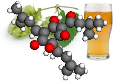 Beer and Hops