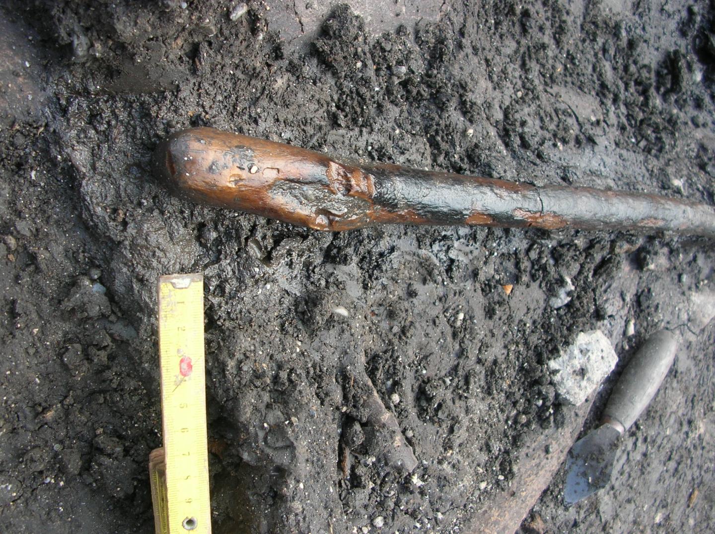 Detail of the Handle of Digging Stick No. 2 On the Paleosurface U2 of the Poggetti Vecchi Site