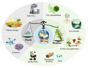 Bamboo's solution to plastic pollution: feasibility and challenges ahead