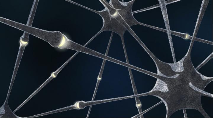 Neuron Connections