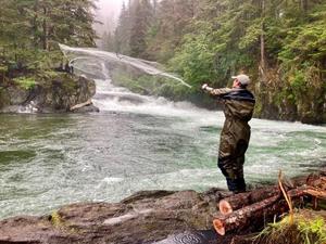 A salmon fisherman throws a cast net into a river to catch Sockeye Salmon