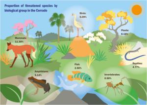 Percentage distribution of threatened species among different biological groups in the Cerrado.