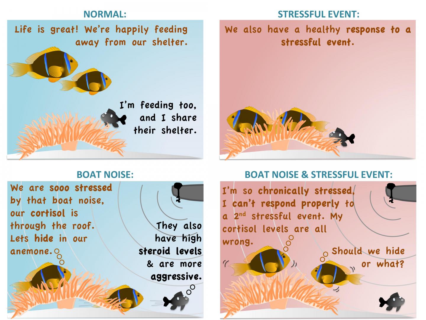 Vexing Nemo