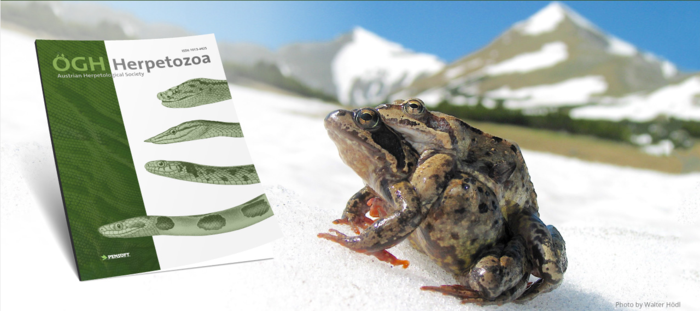 Herpetozoa's cover
