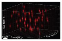 Neurons Illuminated by 3-D Holography