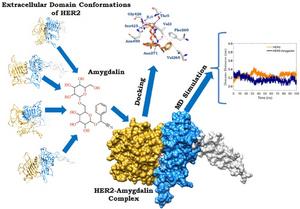 Article Graphical Abstract