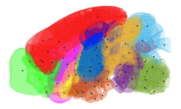 The mouse brain divided into 13 major regions