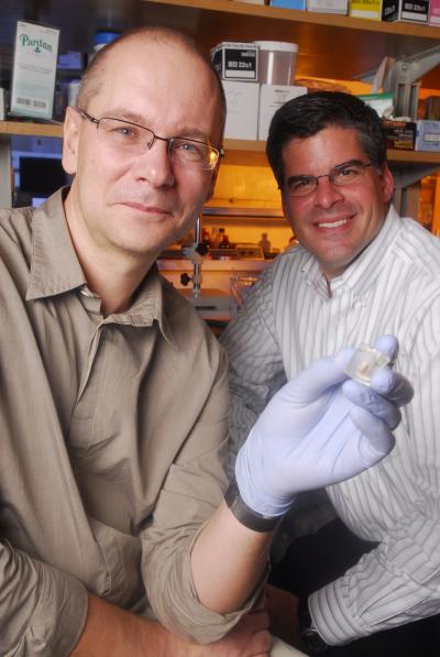 Andres Garcia and David Collard