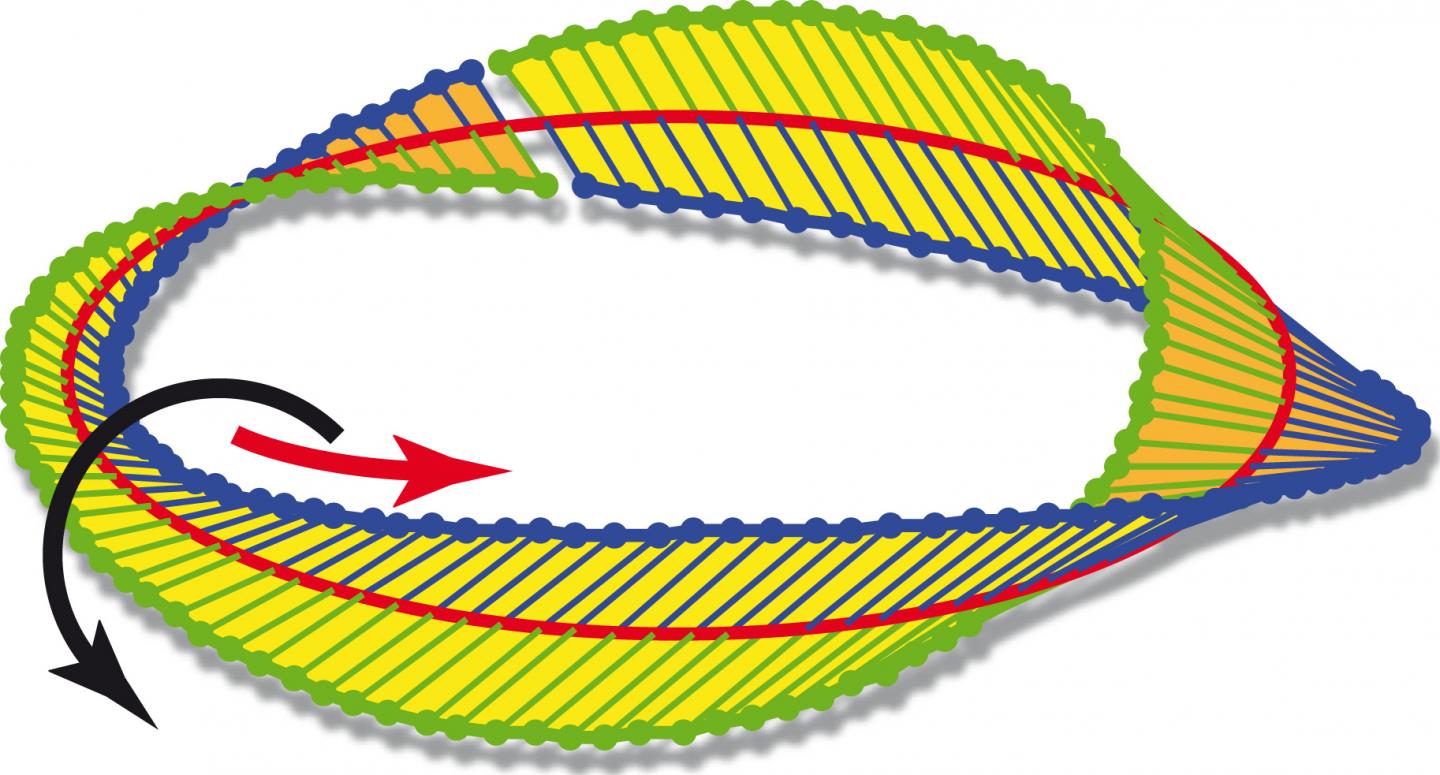M&ouml;bius Polarized Light