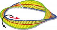 M&ouml;bius Polarized Light