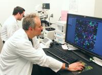 Erwan Pernet (au microscope) et Pr Maziar Divangahi (Ã  l'Ã©cran), scientifiques Ã  l'Institut de recherche du Centre universitaire de santÃ© McGill 