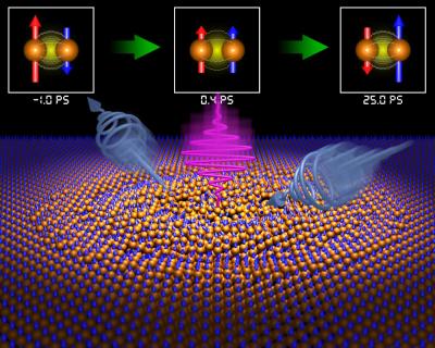 Ultra-Fast Magnetic Reversal Observed
