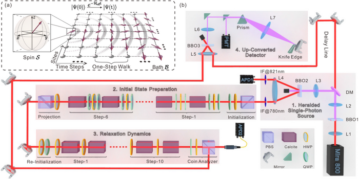 Quantum walk model and the experimental setup