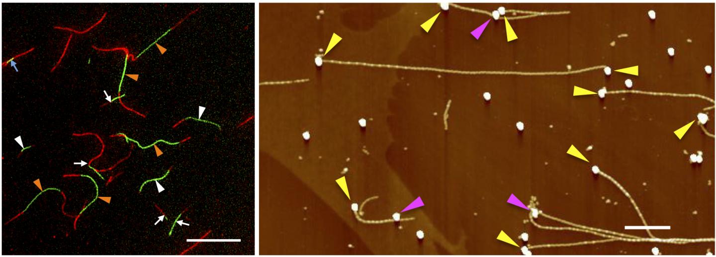 Patterns of Nanofibers