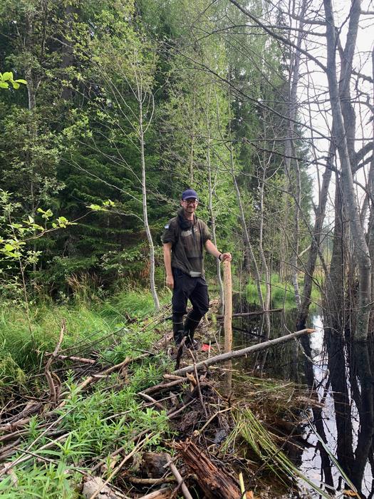 Fieldwork