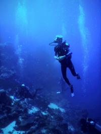 Diver at the Great Barrier Reef