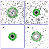 Locking and Release of the Guest Molecules