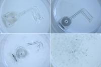 Bioresorbable Device