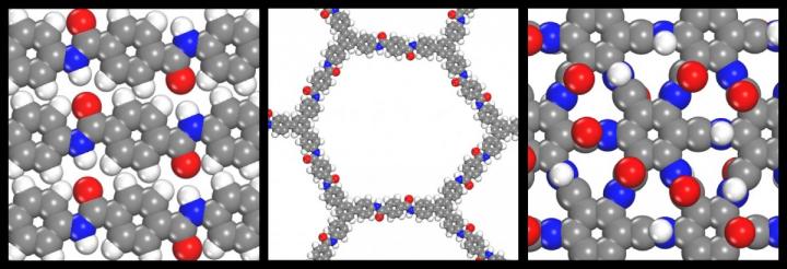 2D Polymer Comparison