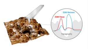KAIST identifies cause of artifacts in battery nanoscale
analysis, paving the way for more reliable measurements